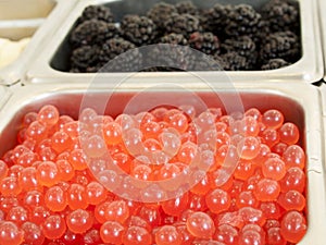 Ã¢â¬Å½Frozen Yogurt Toppings